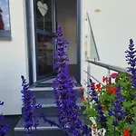 Palatinazeit - Weinblick - Im Haus Petry - - Pfalz Апартаменты *