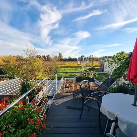 Apartment Palatinazeit - Weinblick - Im Haus Petry - - Pfalz