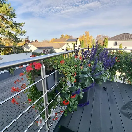 Weinblick - Im Haus Petry - Pfalz - Deutsche Weinstrasse *