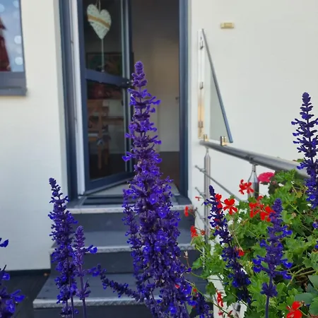 Palatinazeit - Weinblick - Im Haus Petry - - Pfalz Appartement *