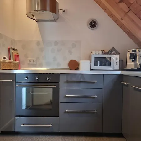 Appartement Palatinazeit - Weinblick - Im Haus Petry - - Pfalz *