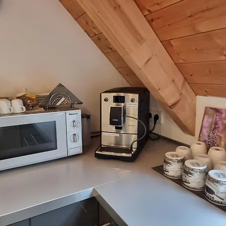 Appartement Palatinazeit - Weinblick - Im Haus Petry - - Pfalz