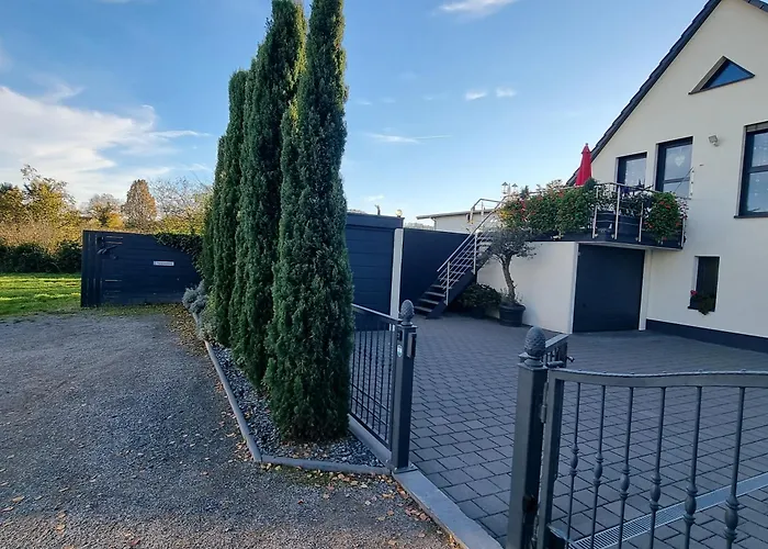 Palatinazeit - Weinblick - Im Haus Petry - - Pfalz * Freinsheim