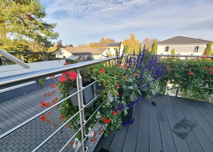 Weinblick - Im Haus Petry - Pfalz - Deutsche Weinstrasse *