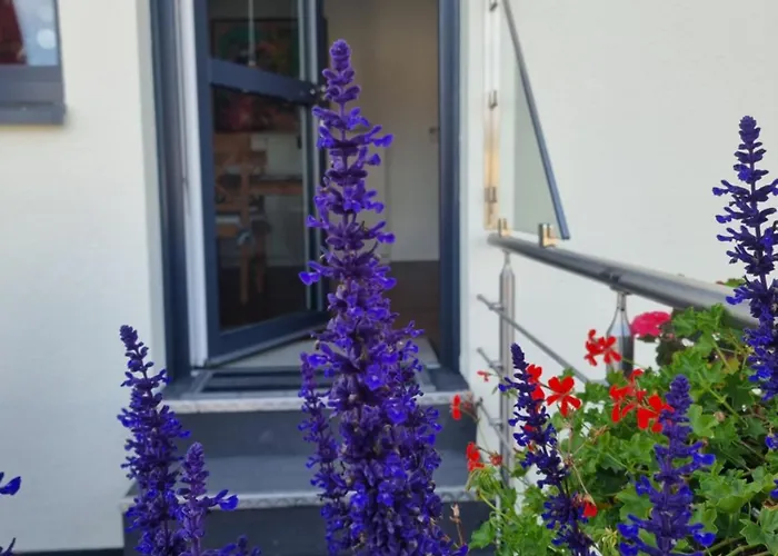 Palatinazeit - Weinblick - Im Haus Petry - - Pfalz Apartment *