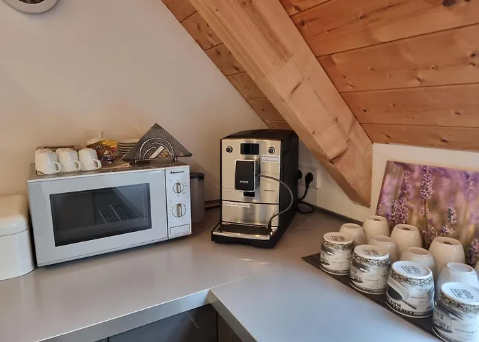 Apartment Palatinazeit - Weinblick - Im Haus Petry - - Pfalz